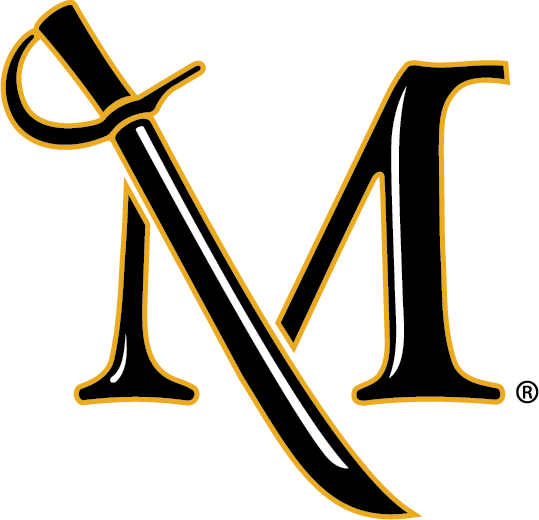 Spirit-Mark-PMS.png
